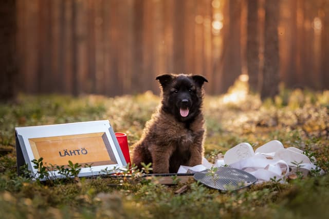 Velho poseeraa tulevaisuuden harrastustarvikkeiden kanssa