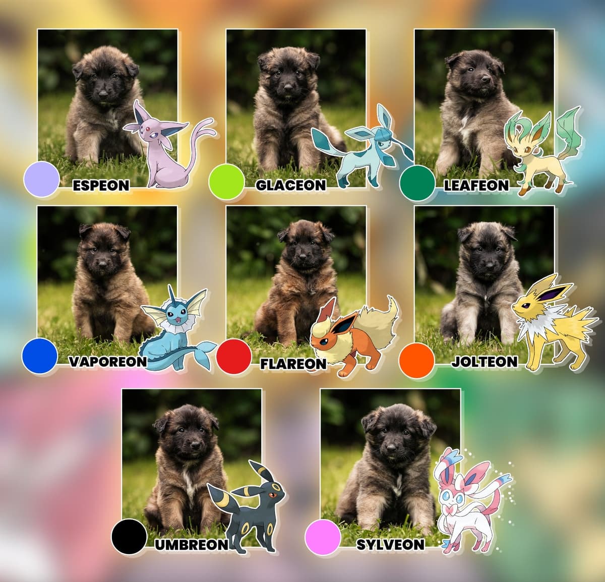 Viisi ruskeaa pentua seisoo kaatuneen puun päällä