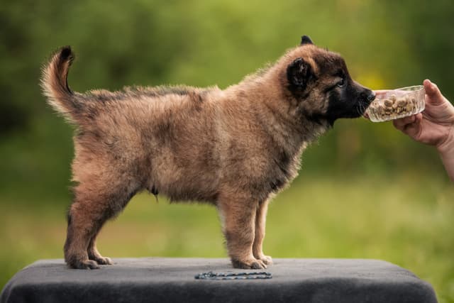 Raffin 6vk rakennekuva