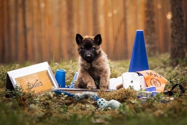 Raffi poseeraa tulevaisuuden harrastustarvikkeiden kanssa