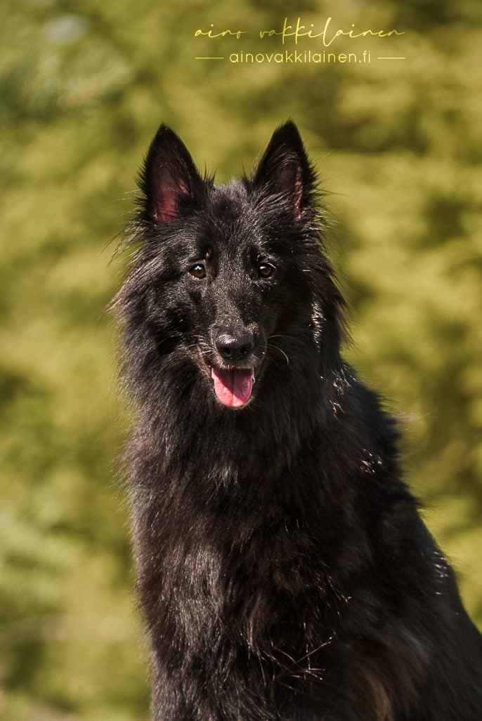 Navi katsoo kameraan suu auki