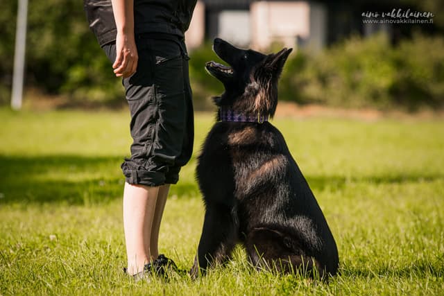 Uuda istuu ohjaajan edessä