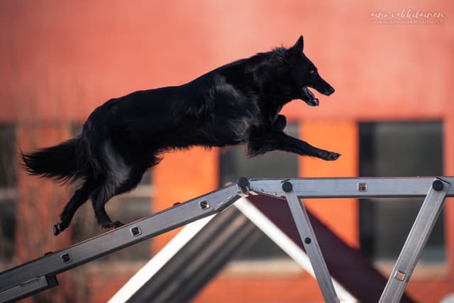 Uuda kulkee puomia pitkin