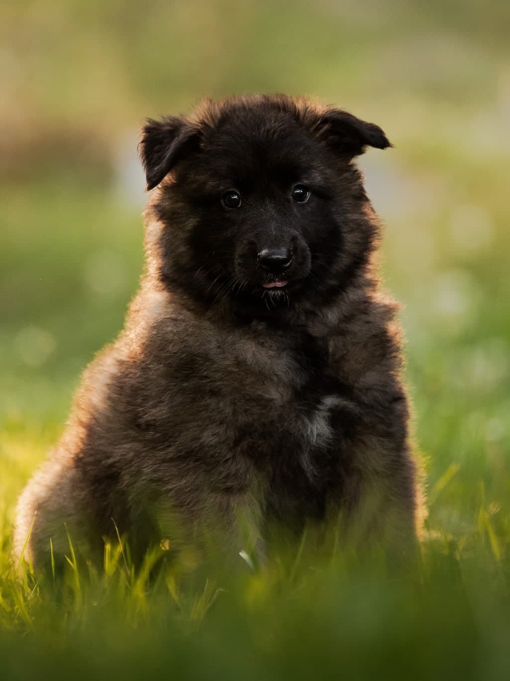 Remu 6vk poseeraa auringon valossa