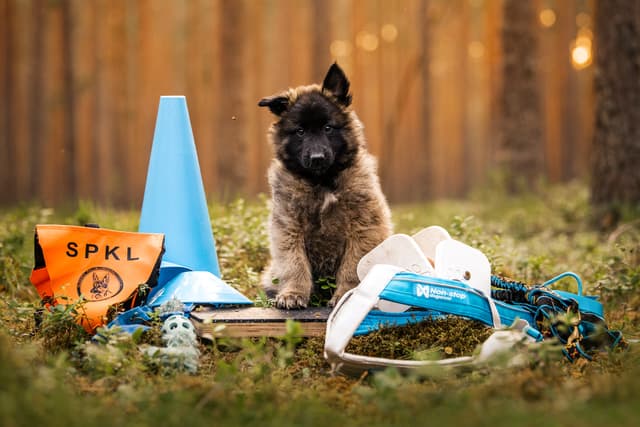 Remun poseeraa erilaisten harrastustarvikkeiden kanssa