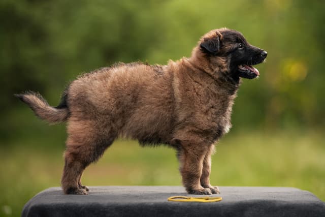 Naran rakennekuva 6vk iässä