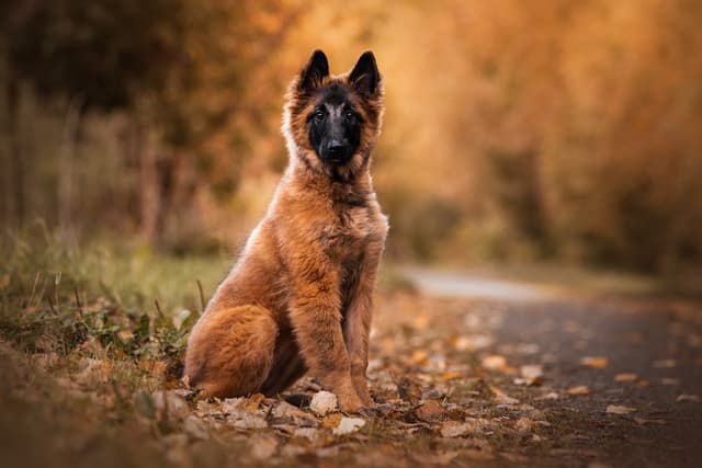 Naran rakennekuva 3kk iässä