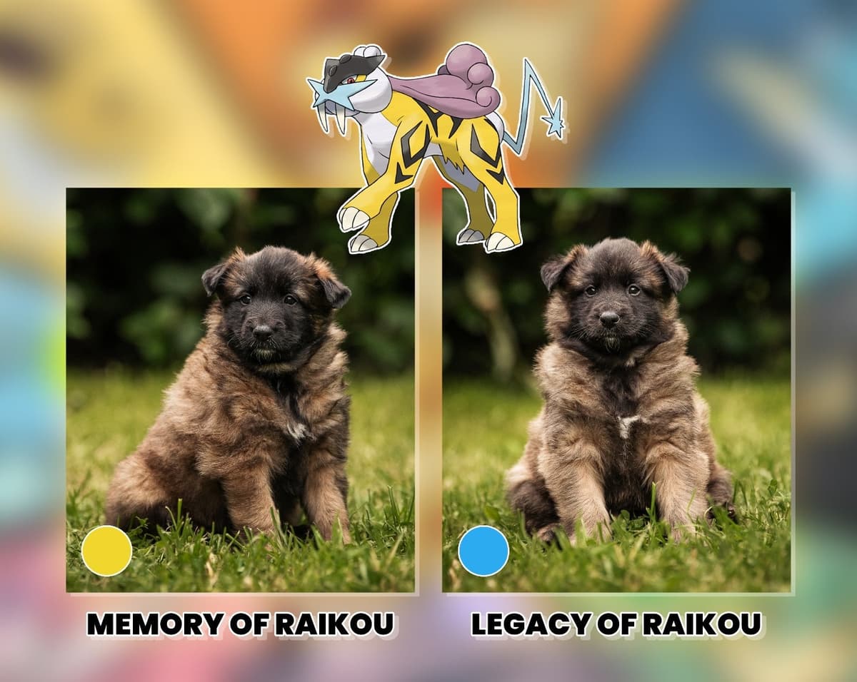 Viisi ruskeaa pentua seisoo kaatuneen puun päällä