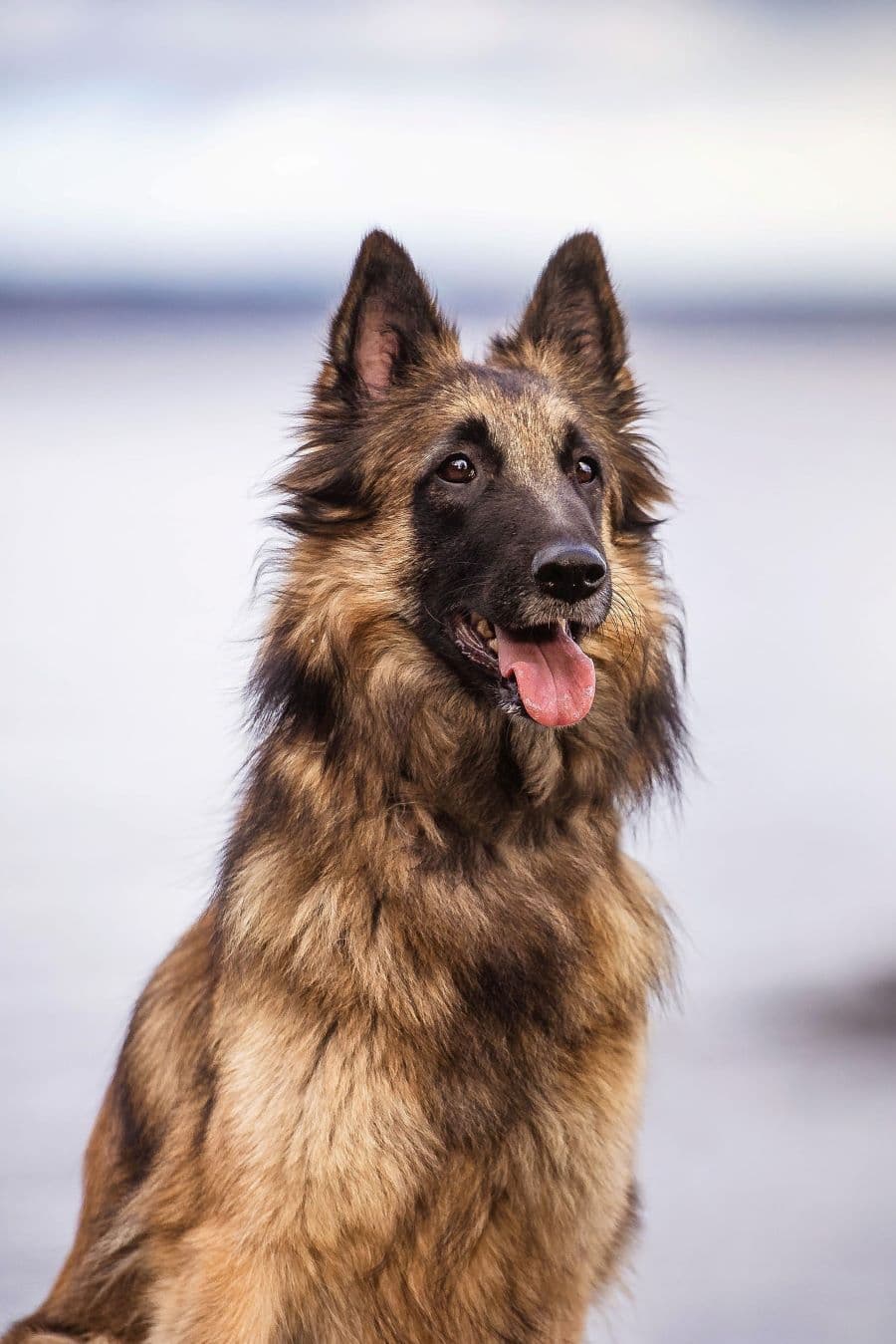 Igni poseeraa järven rannalla