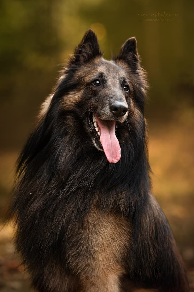 Luca istuu ja katsoo kohti kameraa