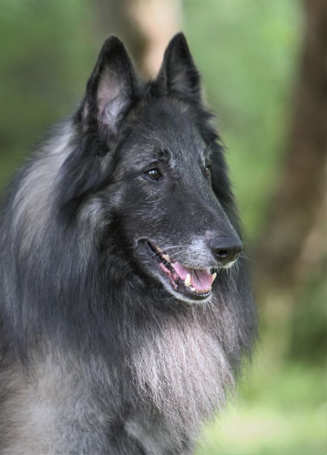 Tare naama 7 vuotiaana