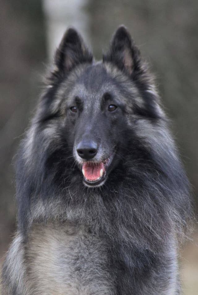 Tare naama edestä 4 vuotiaana