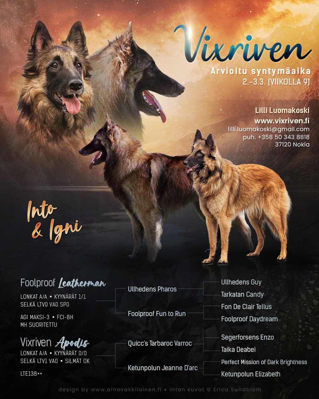 Vixi ja Tare vierekkäin