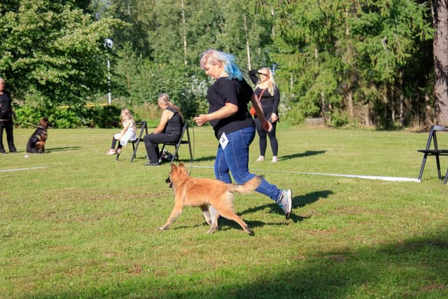 Eve juoksee näyttelykehässä.