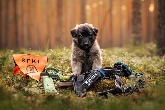Urho poseeraa tulevaisuuden harrastustarvikkeiden kanssa