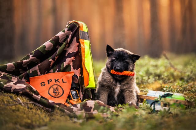 Silco poseeraa tulevaisuuden harrastustarvikkeiden kanssa