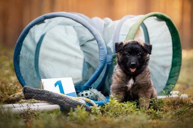 Ciri poseeraa tulevaisuuden harrastustarvikkeiden kanssa