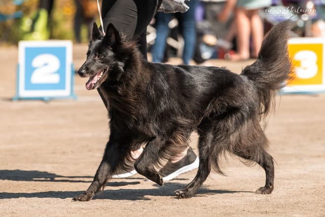 navi seisoo kehässä kohti kameraa