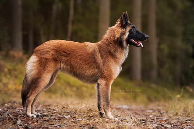 Rimmi rakennekuva 8kk iässä