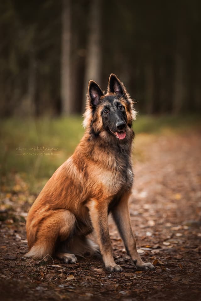 Rimmi kasvokuva 8kk iässä