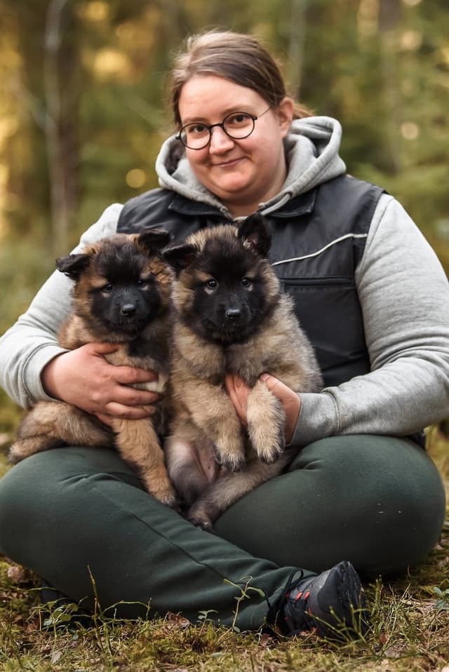 Narttu ja uros pennut kasvattajan sylissä
